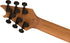 EVH Guitars Wolfgang WG Standard - Absinthe Frost