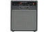Hiwatt Leeds 25R 1x10 Combo Amp