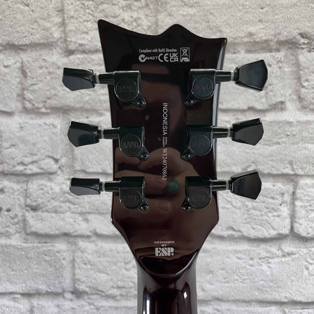 USED-B-Stock ESP LTD EC- 201FT Electric Guitar -  See Thru Black Cherry
