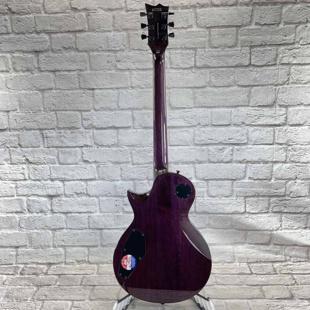 USED-B-Stock ESP LTD EC-1000 Electric Guitar - FM STP