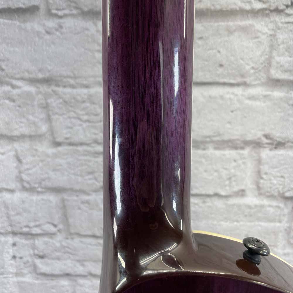 USED-B-Stock ESP LTD EC-1000 Electric Guitar - FM STP