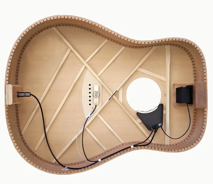 L.R. Baggs Anthem Acoustic Guitar Pickup + Microphone