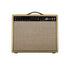 REVV - D25 Joey Landreth Edition Combo Amp - Gold Tolex