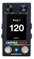 Walrus Audio Canvas Clock