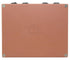 Walrus Audio Qi Etherializer - Terracotta