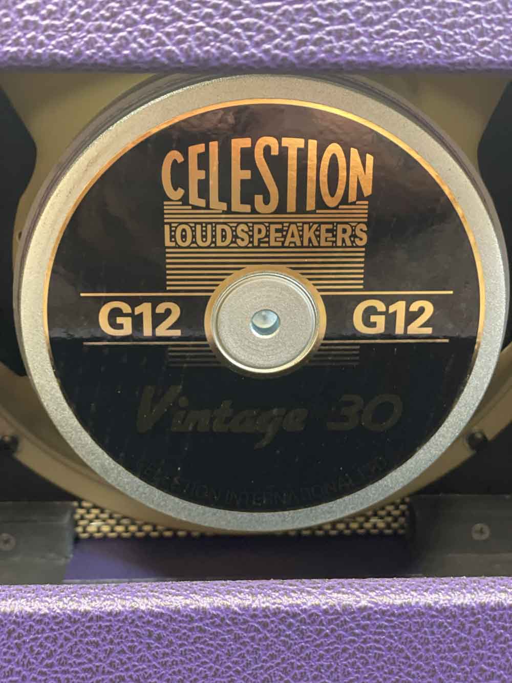 Revv Amplification Dynamis D25 Combo Amp - Royal Purple