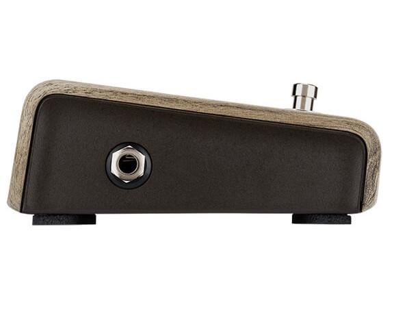 L. R. Baggs Align Series Active DI Acoustic Pedal