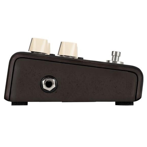 L. R. Baggs Align Series Delay Acoustic Pedal