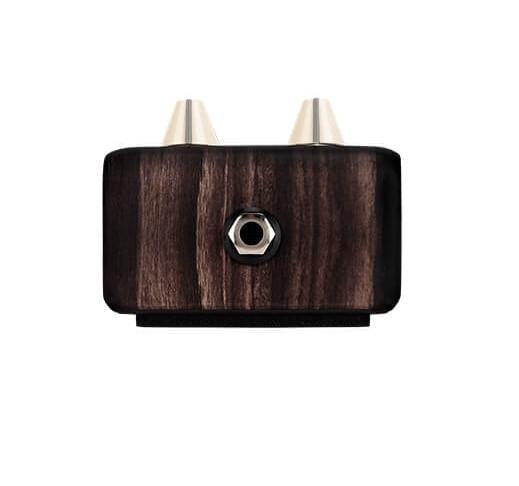 L. R. Baggs Align Series Delay Acoustic Pedal
