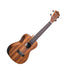 Amahi Ukuleles Mahogany Series Concert Ukulele - UK210C