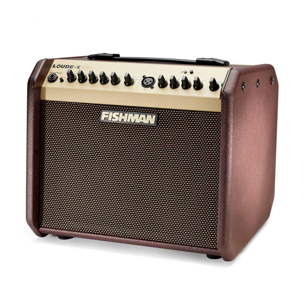 Fishman Loudbox Mini Acoustic Instrument Amplifier