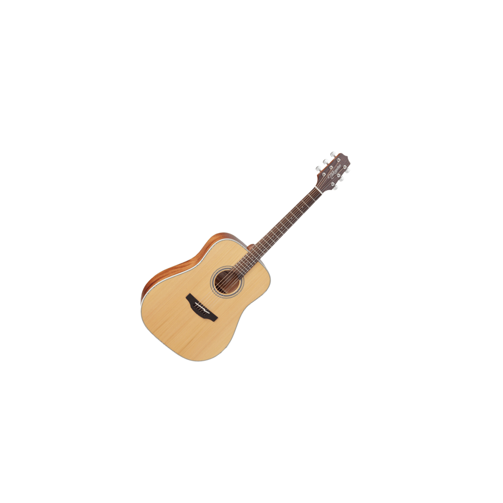 Takamine GD20-NS Dreadnought Acoustic Guitar