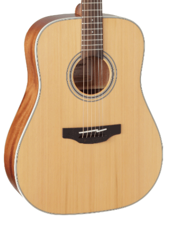 Takamine GD20-NS Dreadnought Acoustic Guitar
