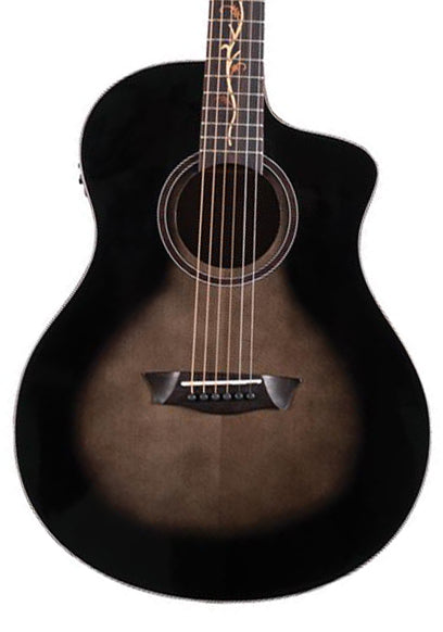Washburn Guitars Bella Tono Vite S9V - Demo