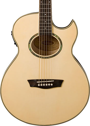 Clearance: Washburn Guitars Festival Series EA20 Florentine Cutaway Acoustic/Electric Guitar- Demo