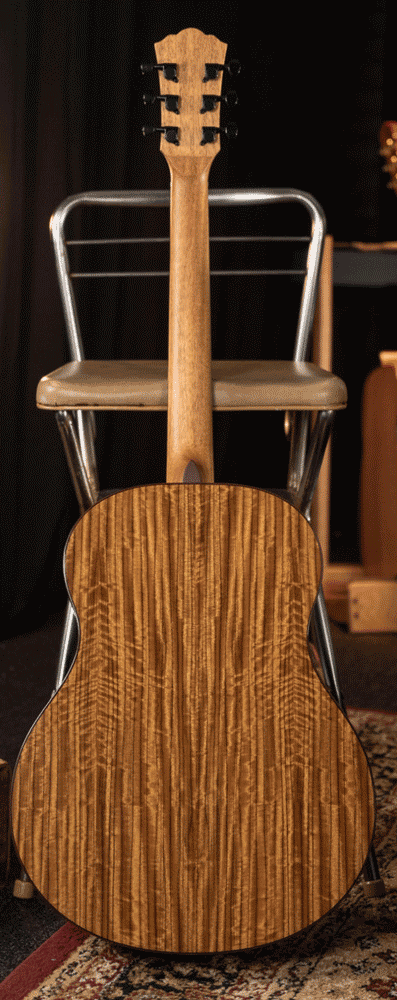 Washburn Guitars Bella Tono Novo S9 - Gloss Charcoal Burst