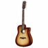 Alvarez Guitars AD60CE Artist 12 String Dreadnought Acoustic/Electric Guitar - Shadow Burst