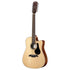 Alvarez Guitars AD60ce Artist 12 String Dreadnought Acoustic/Electric Guitar - Natural