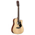 Alvarez Guitars AD60ce Artist 12 String Dreadnought Acoustic/Electric Guitar - Natural