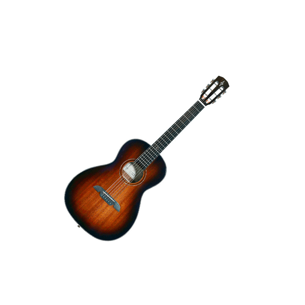Alvarez AP66 Acoustic Guitar - Shadowburst
