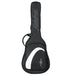 Alvarez Guitars Regent School Series Short Scale Steel String Student Guitar - Natural