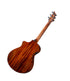 Breedlove Discovery S Concert Edgeburst CE