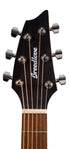 Breedlove Discovery S Concert Edgeburst CE