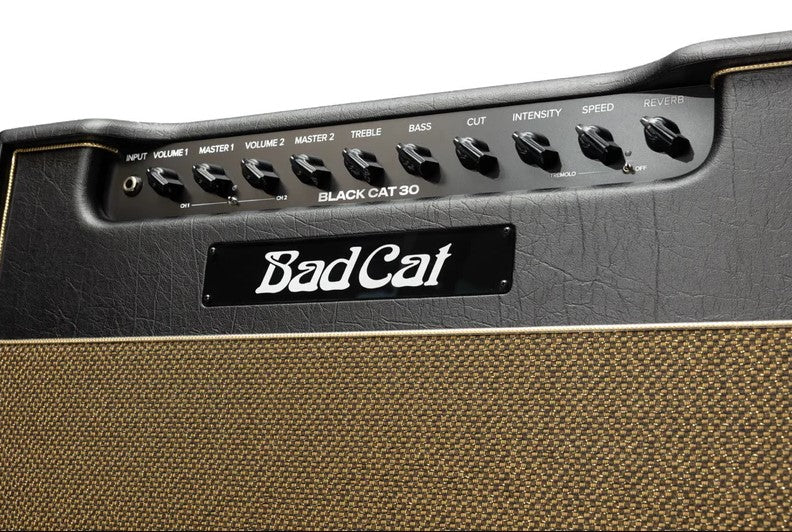 Black Cat Mod Shop: Black Cat 30 Watt Combo Amp