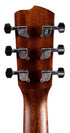 Breedlove Discovery S Concertina Red Cedar-African Mahogany