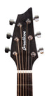 Breedlove Pursuit Exotic S Concert Tigers Eye CE Myrtlewood-Myrtlewood Acoustic/Electric Guitar