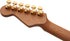 Charvel Pro-Mod DK24 HSH 2PT CM Mahogany - Natural