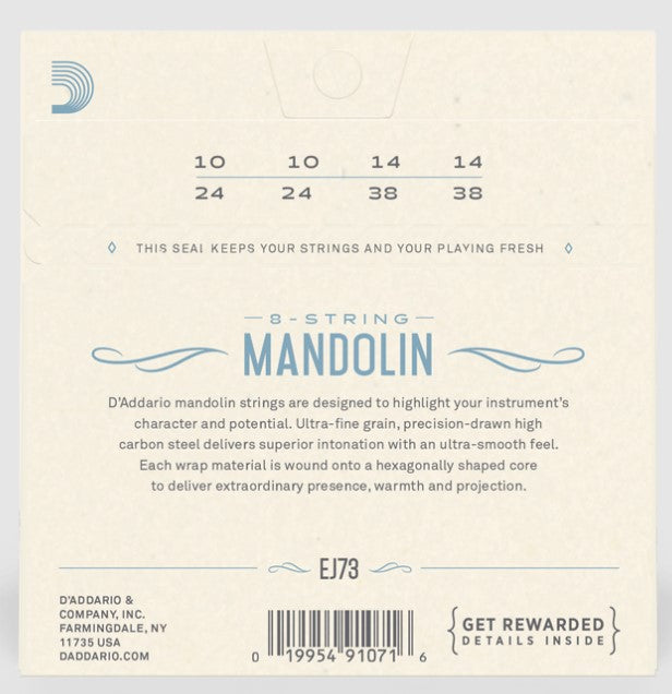 D'Addario Octave Mandolin Strings EJ73