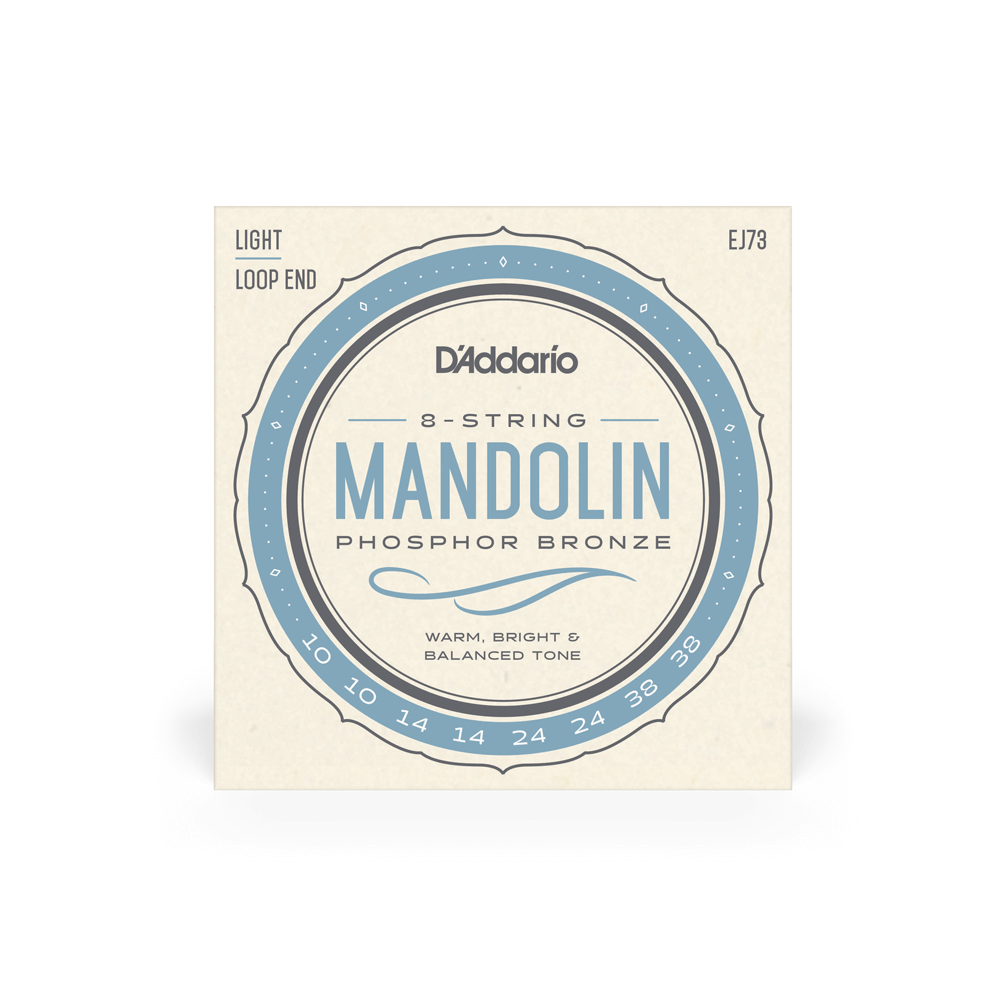 D'Addario Octave Mandolin Strings EJ73