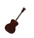 D'Angelico Guitars Premier Grateful Dead Tammany Acoustic Guitar