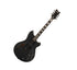 EVH Guitars SA126 Special - Stealth Black