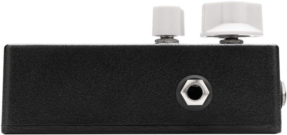 EarthQuaker Devices Easy Listening Stereo Analog Amp Simulator