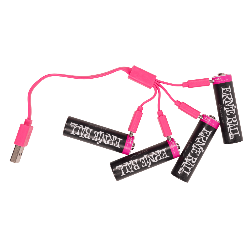 Ernie Ball USB-C Rechargeable Battery AA - 4 pk
