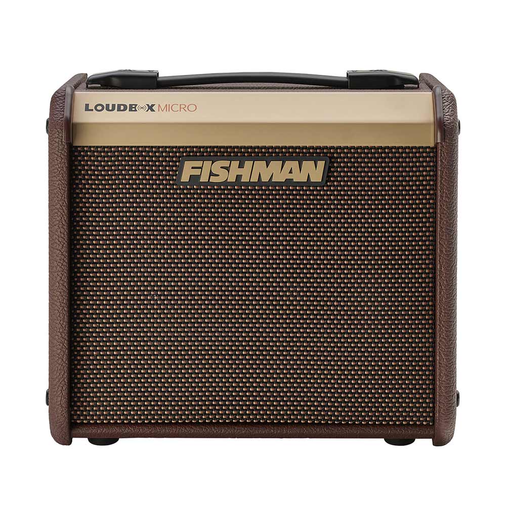 Fishman Loudbox Micro Amplifier