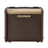 Fishman Loudbox Micro Amplifier
