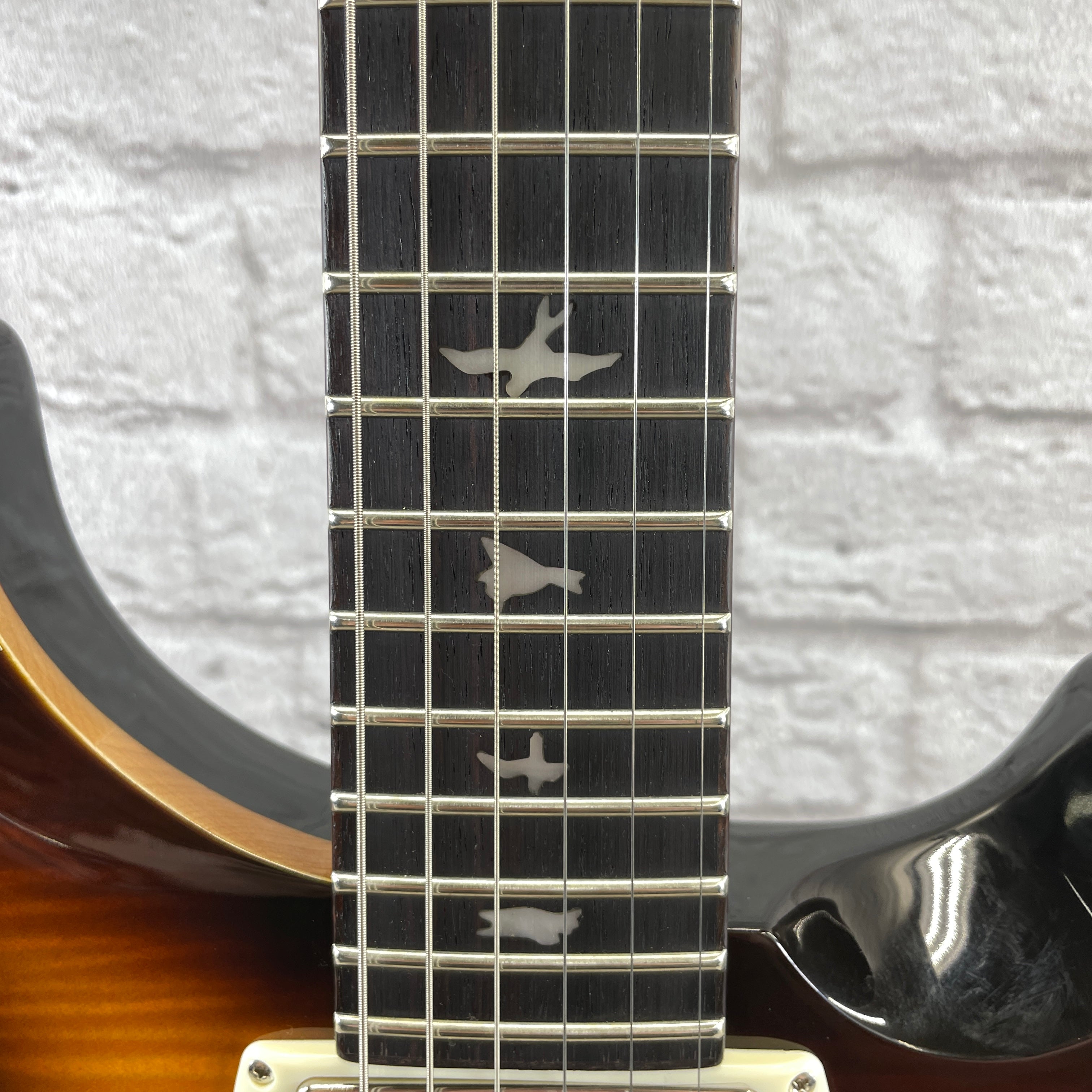 PRS Guitars SE DGT McCarty Tobacco Sunburst - Birds