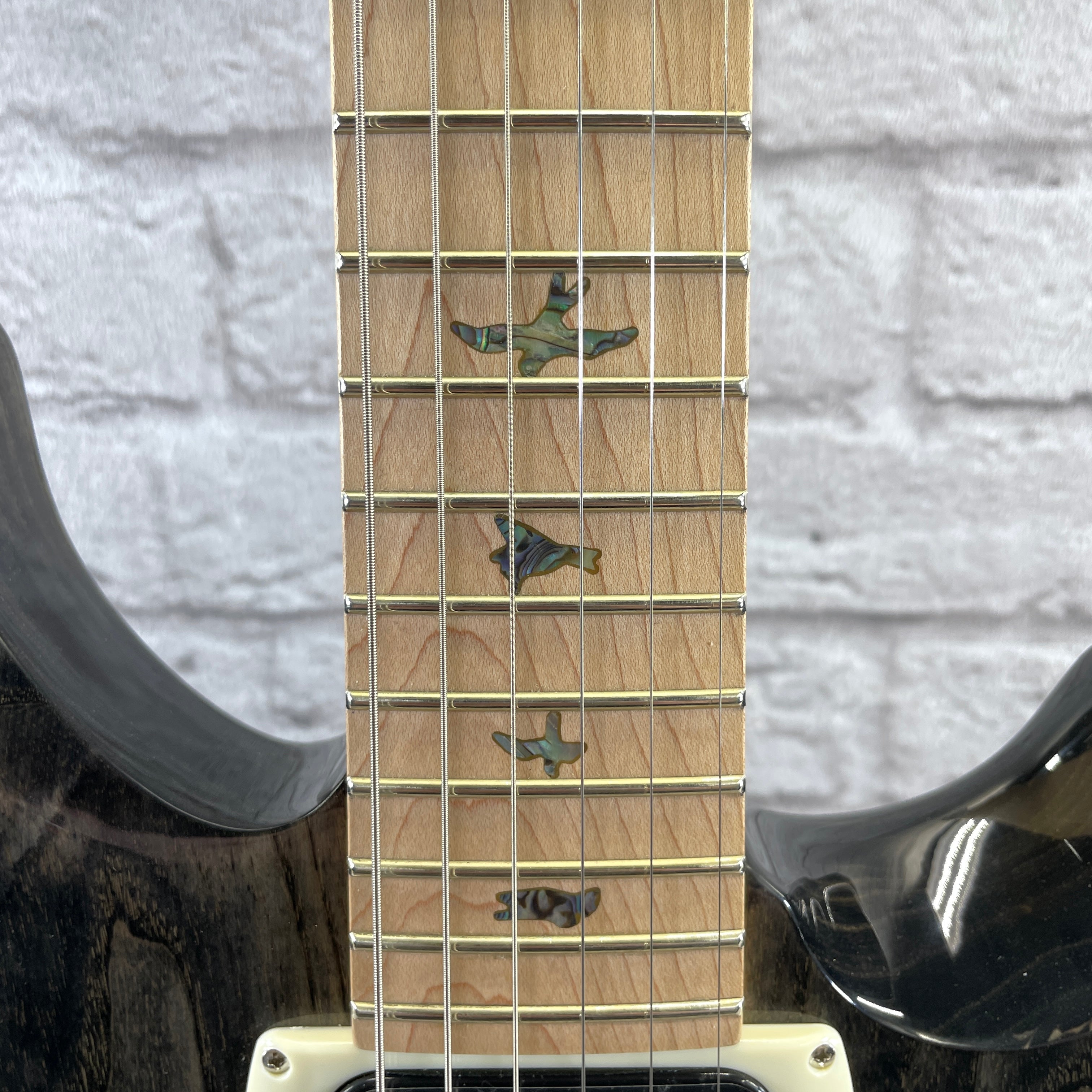 PRS Guitars SE Swamp Ash Special Electric Guitar - Charcoal