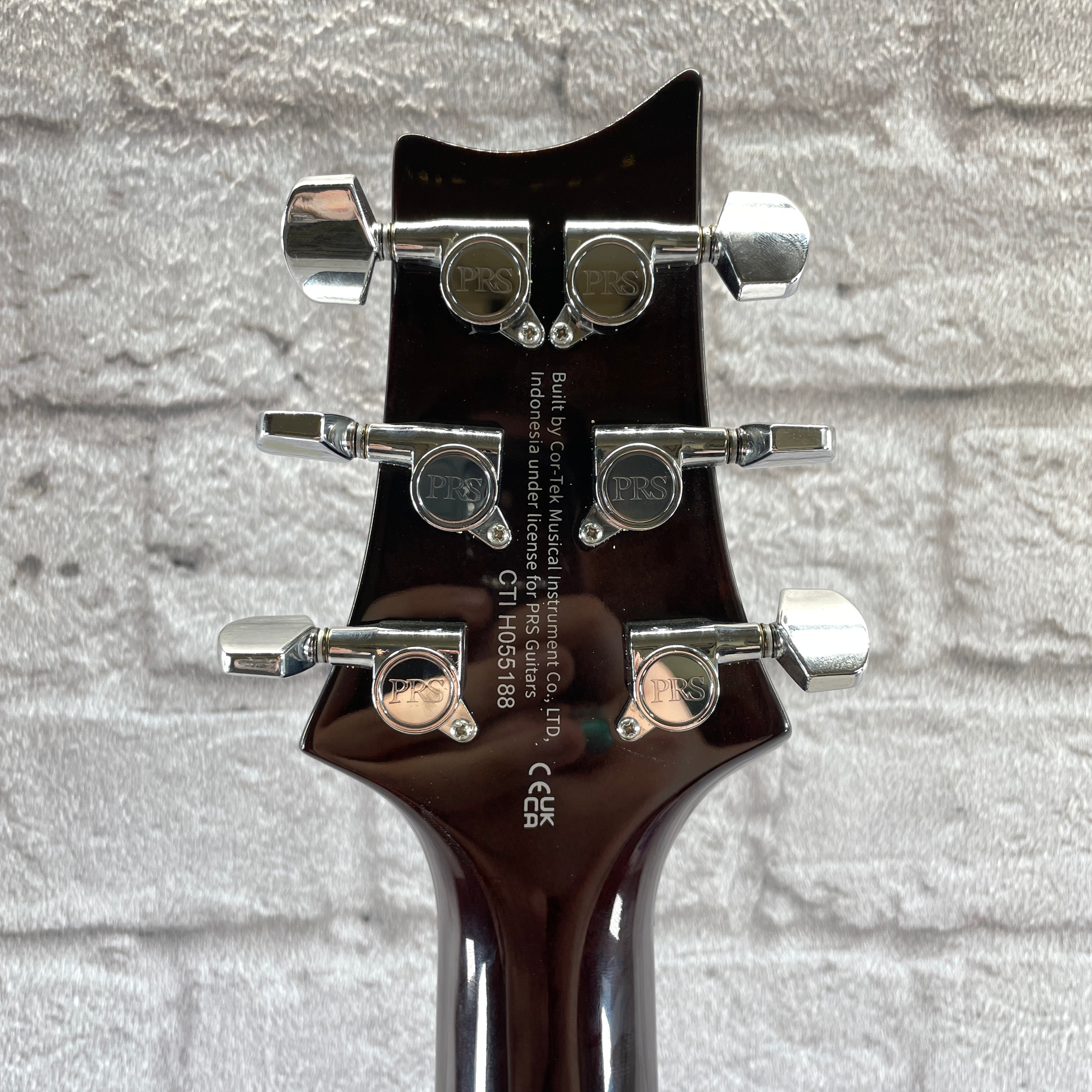 PRS Guitars SE DGT McCarty Tobacco Sunburst - Birds