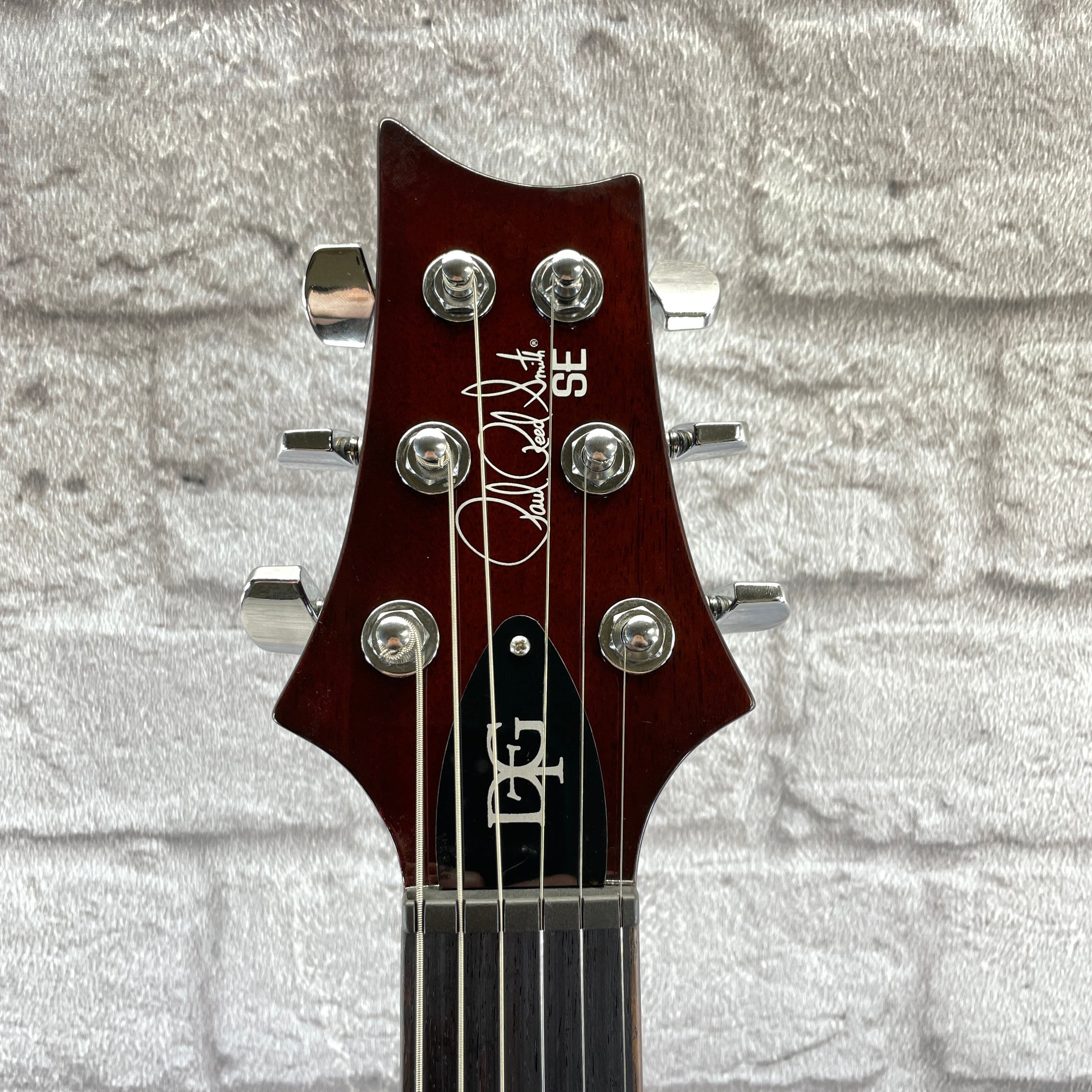 PRS Guitars SE DGT McCarty Tobacco Sunburst - Birds