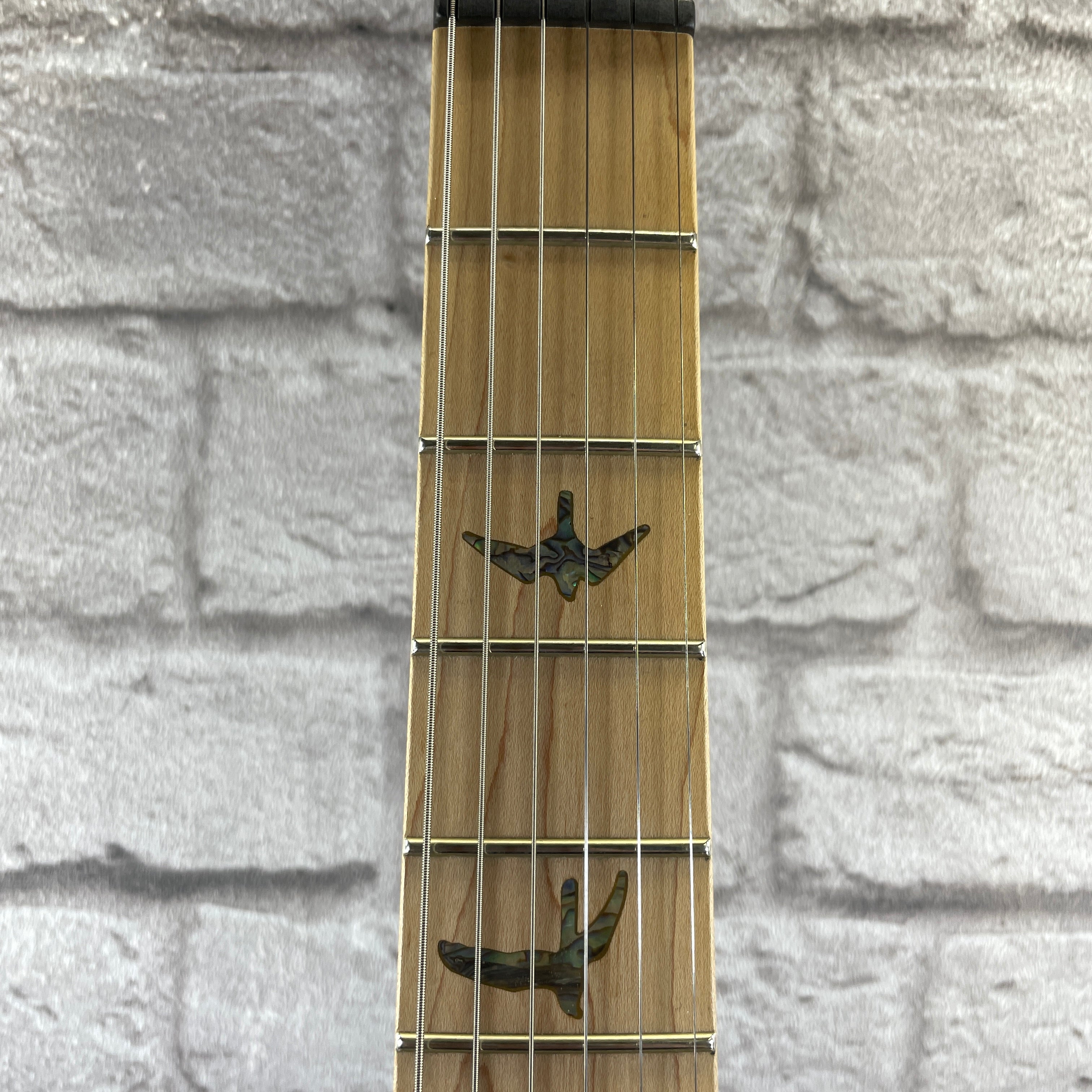 PRS Guitars SE Swamp Ash Special Electric Guitar - Charcoal