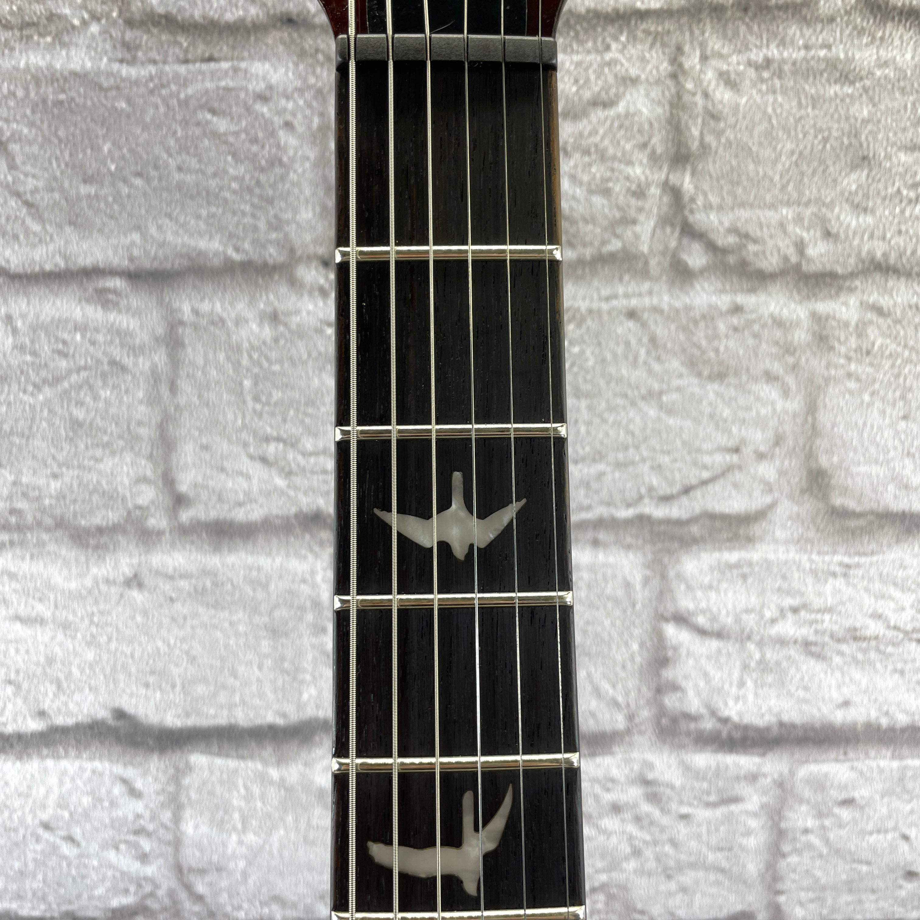 PRS Guitars SE DGT McCarty Tobacco Sunburst - Birds