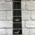 PRS Guitars SE DGT McCarty Tobacco Sunburst - Birds