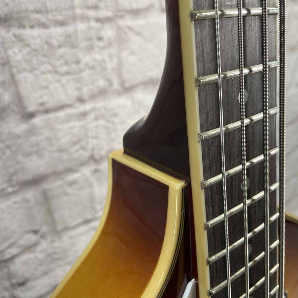 Used:  Rogue Lefty Beetle Bass VB100