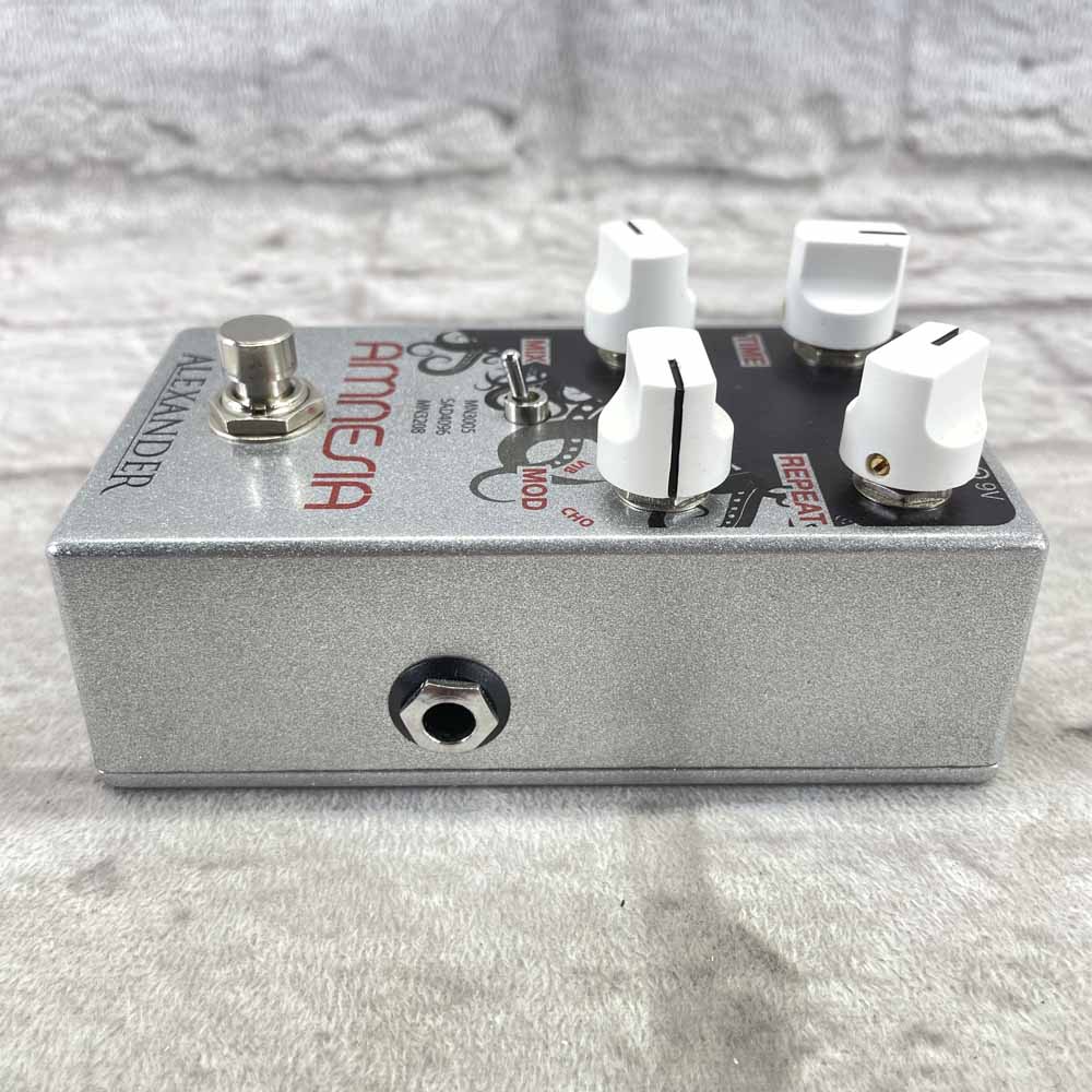 Used:  Alexander Pedals Amnesia Delay Pedal