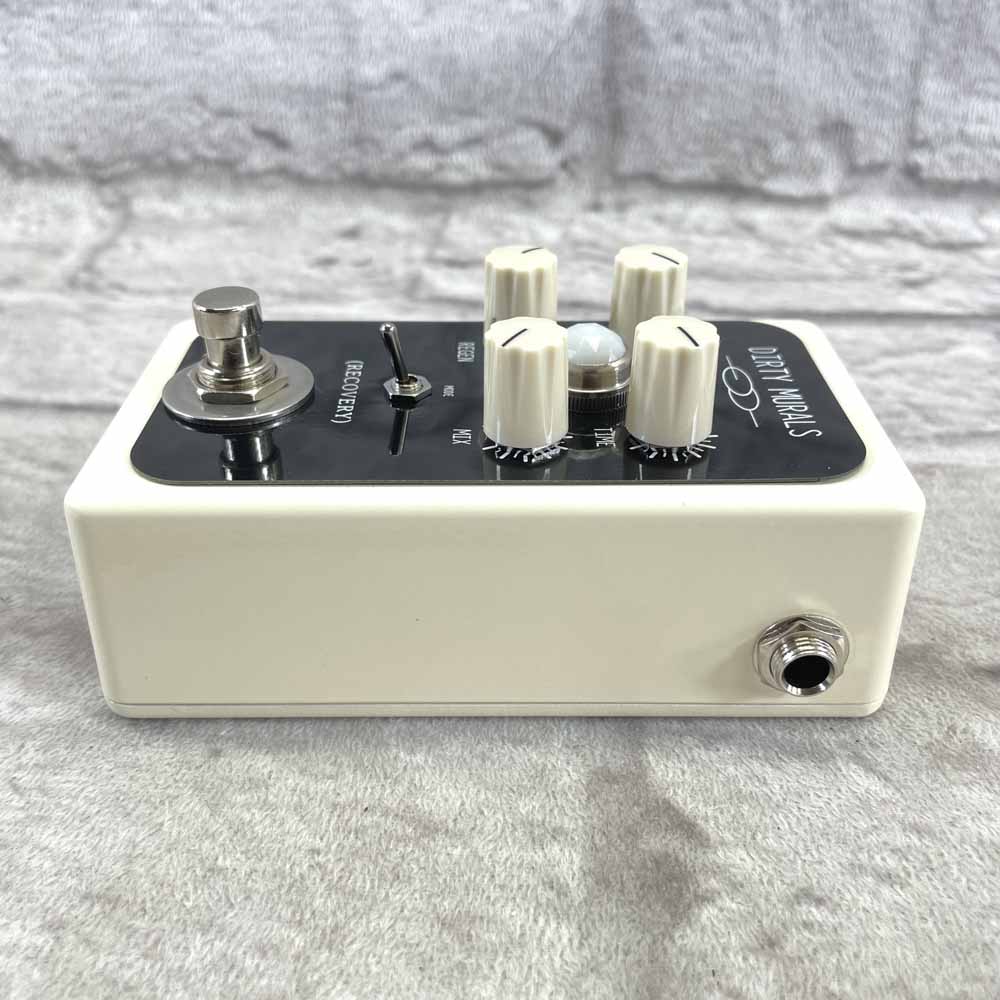 Used:  Recovery Effects Dirty Murals Delay/Reverb Pedal