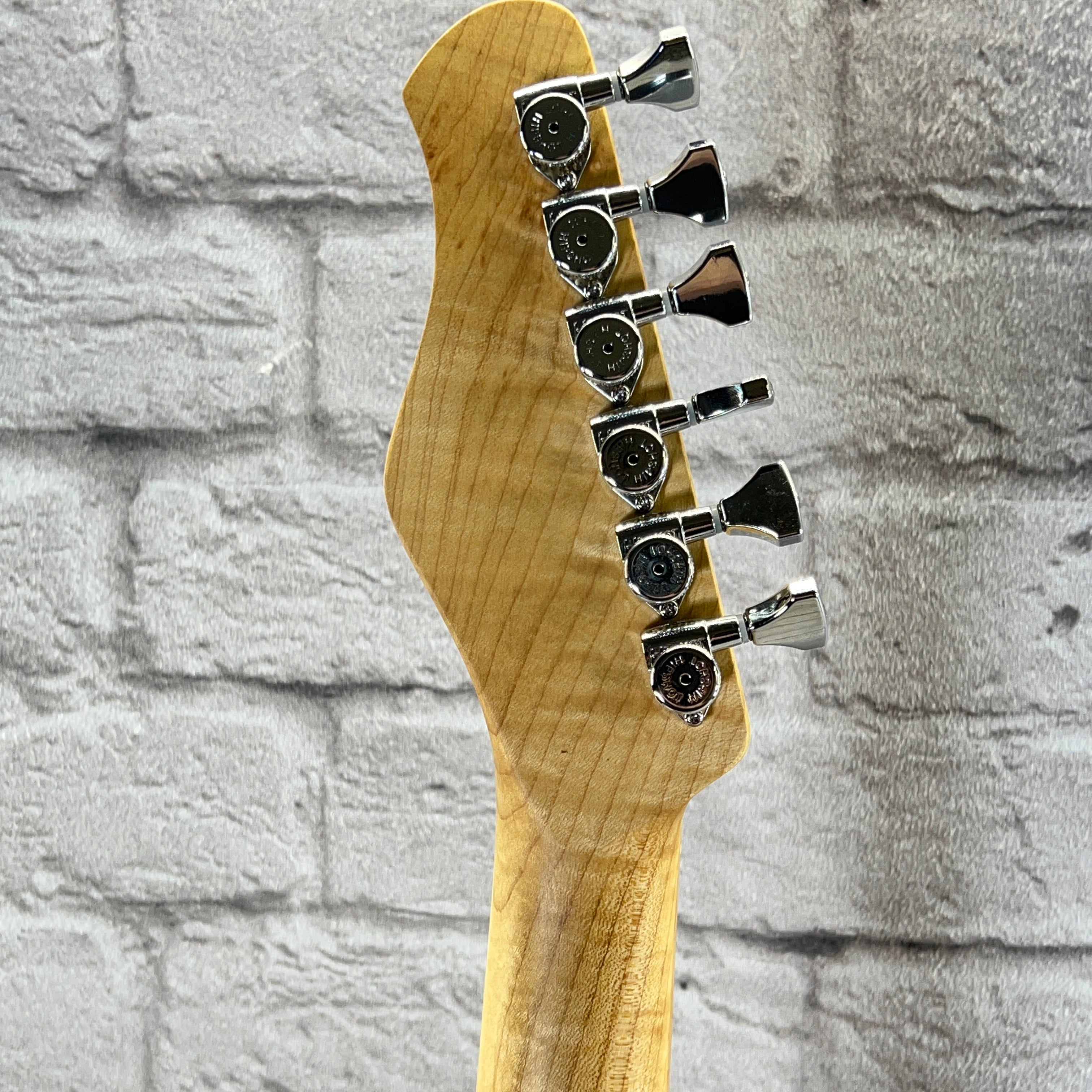 PREORDER: Texas Toast Guitars "Monticola" Daily Driver Semi Hollow